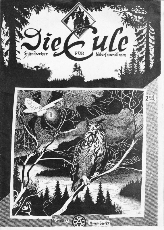 Read more about the article Die Eule