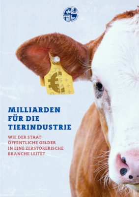 Read more about the article Studie: Milliarden für die Tier­industrie (2021)